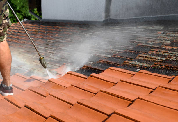 Best Power Washing Near Me  in Morganville, NJ